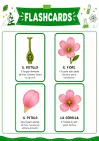 anteprima - Esercizi - Dal fiore al frutto pacchetto completo - Pagina 1