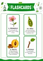 anteprima - Esercizi - Dal fiore al frutto pacchetto completo - Pagina 3