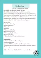 Vorschau - Unterrichtsreihen - Graphomotorik | Schwungübungen | Schreibvorbereitung | Vorschule & Klasse 1 | Arbeitsheft Schulstart - Seite 1