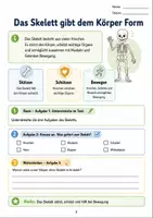 Vorschau - Stationenlernen - Skelett und Muskeln | Arbeitsheft - Seite 2