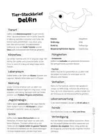 Vorschau - Arbeitsblätter - Delfin Komplettpaket - mit Lesetext, Steckbrief, Lückentext, Suchsel, Quiz und Ausmalbildern - Seite 1
