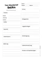 Vorschau - Arbeitsblätter - Delfin Komplettpaket - mit Lesetext, Steckbrief, Lückentext, Suchsel, Quiz und Ausmalbildern - Seite 2