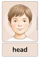 Vorschau - Fördermaterial/Inklusion - Bildkarten BODY PARTS | Englisch Grundschule | mit & ohne Brick Words - Seite 3