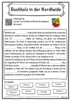 Vorschau - Unterrichtsreihen - Buchholz in der Nordheide Lückentext mit Wortspeicher Hörverstehen und Suchsel - Seite 1