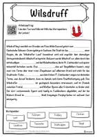 Vorschau - Unterrichtsreihen - Wilsdruff Lückentext mit Wortspeicher Hörverstehen und Suchsel - Seite 1