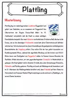 Vorschau - Unterrichtsreihen - Plattling Lückentext mit Wortspeicher Hörverstehen und Suchsel - Seite 2