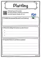 Vorschau - Unterrichtsreihen - Plattling Lückentext mit Wortspeicher Hörverstehen und Suchsel - Seite 3