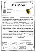 Vorschau - Unterrichtsreihen - Wiesmoor Lückentext mit Wortspeicher Hörverstehen und Suchsel - Seite 1