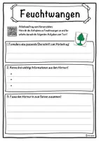 Vorschau - Unterrichtsreihen - Feuchtwangen Lückentext mit Wortspeicher Hörverstehen und Suchsel - Seite 3
