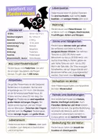 Vorschau - Mal- und Bastelvorlagen - Fledermaus Sparpaket / Materialpaket - mit Lesetext, Steckbrief, Lückentext, Suchsel, Satzpaare, Quiz und Ausmalbildern - Seite 1