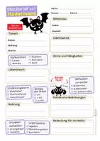 Vorschau - Mal- und Bastelvorlagen - Fledermaus Sparpaket / Materialpaket - mit Lesetext, Steckbrief, Lückentext, Suchsel, Satzpaare, Quiz und Ausmalbildern - Seite 2