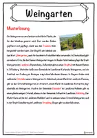 Vorschau - Unterrichtsreihen - Weingarten Lückentext mit Wortspeicher Hörverstehen und Suchsel - Seite 2