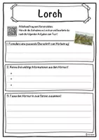 Vorschau - Unterrichtsreihen - Lorch Lückentext mit Wortspeicher Hörverstehen und Suchsel - Seite 3