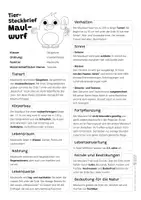 Vorschau - Arbeitsblätter - Maulwurf Komplettpaket - mit Lesetext, Steckbrief, Lückentext, Suchsel, Quiz und Ausmalbildern - Seite 1