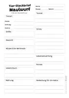 Vorschau - Arbeitsblätter - Maulwurf Komplettpaket - mit Lesetext, Steckbrief, Lückentext, Suchsel, Quiz und Ausmalbildern - Seite 2