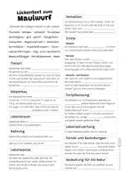 Vorschau - Arbeitsblätter - Maulwurf Komplettpaket - mit Lesetext, Steckbrief, Lückentext, Suchsel, Quiz und Ausmalbildern - Seite 3