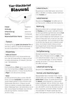 Vorschau - Arbeitsblätter - Blauwal Komplettpaket - mit Lesetext, Steckbrief, Lückentext, Suchsel, Quiz und Ausmalbildern - Seite 1
