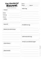 Vorschau - Arbeitsblätter - Blauwal Komplettpaket - mit Lesetext, Steckbrief, Lückentext, Suchsel, Quiz und Ausmalbildern - Seite 2