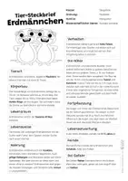 Vorschau - Arbeitsblätter - Erdmännchen Komplettpaket - mit Lesetext, Steckbrief, Lückentext, Suchsel, Quiz und Ausmalbildern - Seite 1