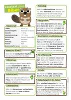 Vorschau - Text - Biber - Lesetext - Seite 1