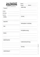 Vorschau - Arbeitsblätter - Polarfuchs Komplettpaket - mit Lesetext, Steckbrief, Lückentext, Suchsel, Quiz und Ausmalbildern - Seite 2