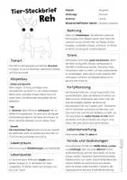 Vorschau - Arbeitsblätter - Reh Komplettpaket - mit Lesetext, Steckbrief, Lückentext, Suchsel, Quiz und Ausmalbildern - Seite 1