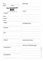 Vorschau - Arbeitsblätter - Reh Komplettpaket - mit Lesetext, Steckbrief, Lückentext, Suchsel, Quiz und Ausmalbildern - Seite 2