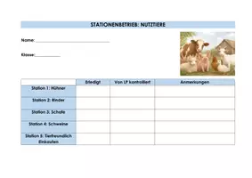 Vorschau - Arbeitsblätter - Stationenlernen Stationenbetrieb Nutztiere Schaf, Huhn, Rind, Schwein - Seite 1