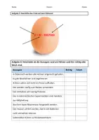 Vorschau - Arbeitsblätter - Stationenlernen Stationenbetrieb Nutztiere Schaf, Huhn, Rind, Schwein - Seite 3