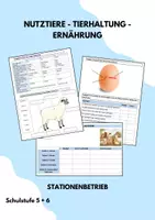 Vorschau - Arbeitsblätter - Stationenlernen Stationenbetrieb Nutztiere Schaf, Huhn, Rind, Schwein - Deckblatt