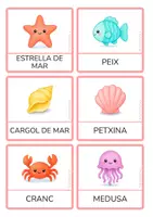 Vista previa - Juegos / Gamificación - Vocabulari d’estiu en català – Targetes i joc de parelles (PAL) - página 3