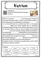 Vorschau - Unterrichtsreihen - Natrium Lückentext mit Wortspeicher Hörverstehen und Suchsel - Seite 1