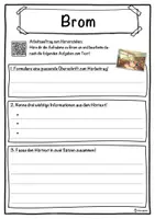 Vorschau - Unterrichtsreihen - Brom Lückentext mit Wortspeicher Hörverstehen und Suchsel - Seite 3