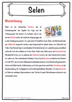 Vorschau - Unterrichtsreihen - Selen Lückentext mit Wortspeicher Hörverstehen und Suchsel - Seite 2