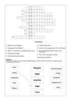 Vorschau - Arbeitsblätter - Übungen zur Diversität der Wirbeltiere - Homeschooling - Seite 1