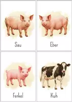 Vorschau - Bildkarten - Lernkarten Bauernhoftiere | Tiere Bildkarten Wortkarten Montessori | DaZ Kindergarten Sprachförderung - Seite 2