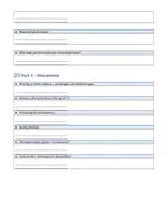 Vorschau - Arbeitsblätter - Englisch_Sprechen_A1_A2_SimplePresent_SimplePast_Diskussion - Seite 2