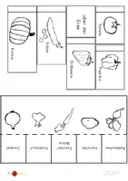 Vorschau - Mal- und Bastelvorlagen - Lapbook zum Thema Garten "Obst und Gemüse" - Seite 2