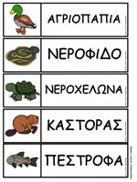 Προεπισκόπηση - Φύλλα εργασίας - Δραστηριότητες Γλώσσας και Μαθηματικών - Ζώα της λίμνης - Σελίδα 3