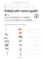 Vista previa - Unidades / Secuencias / Situaciones de Aprendizaje - PROJECTE: Animals vertebrats - página 3