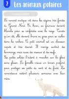 Aperçu - Apprentissages en autonomie - Rallye copie le monde polaire - Page 2