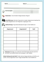 Vorschau - Stundenentwürfe - Stoffeigenschaften: Magnetismus - Deckblatt