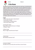 Vorschau - Stundenentwürfe - Leseverständnis Blumen – Klasse 2 | 10 Lesetexte mit Fragen & Lösungen - Seite 3
