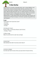 Vorschau - Stundenentwürfe - Leseverständnis Bäume – Klasse 2 | 10 Lesetexte mit Fragen & Lösungen - Seite 3