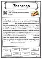 Vorschau - Unterrichtsreihen - Charango Lückentext mit Wortspeicher Hörverstehen und Suchsel - Seite 1