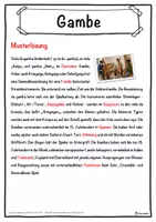 Vorschau - Unterrichtsreihen - Gambe Lückentext mit Wortspeicher Hörverstehen und Suchsel - Seite 2