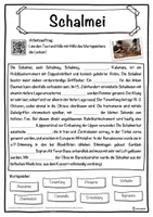 Vorschau - Unterrichtsreihen - Schalmei Lückentext mit Wortspeicher Hörverstehen und Suchsel - Seite 1