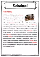 Vorschau - Unterrichtsreihen - Schalmei Lückentext mit Wortspeicher Hörverstehen und Suchsel - Seite 2