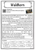 Vorschau - Unterrichtsreihen - Waldhorn Lückentext mit Wortspeicher Hörverstehen und Suchsel - Seite 1