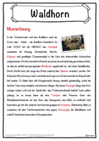 Vorschau - Unterrichtsreihen - Waldhorn Lückentext mit Wortspeicher Hörverstehen und Suchsel - Seite 2